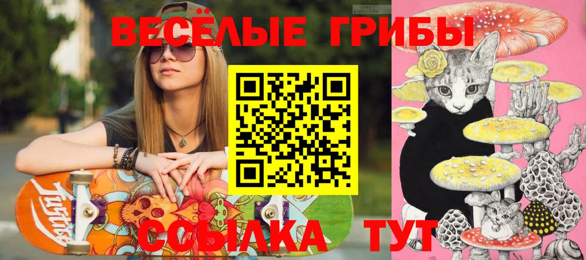 Псилоцибиновые грибы ЛСД Вологда