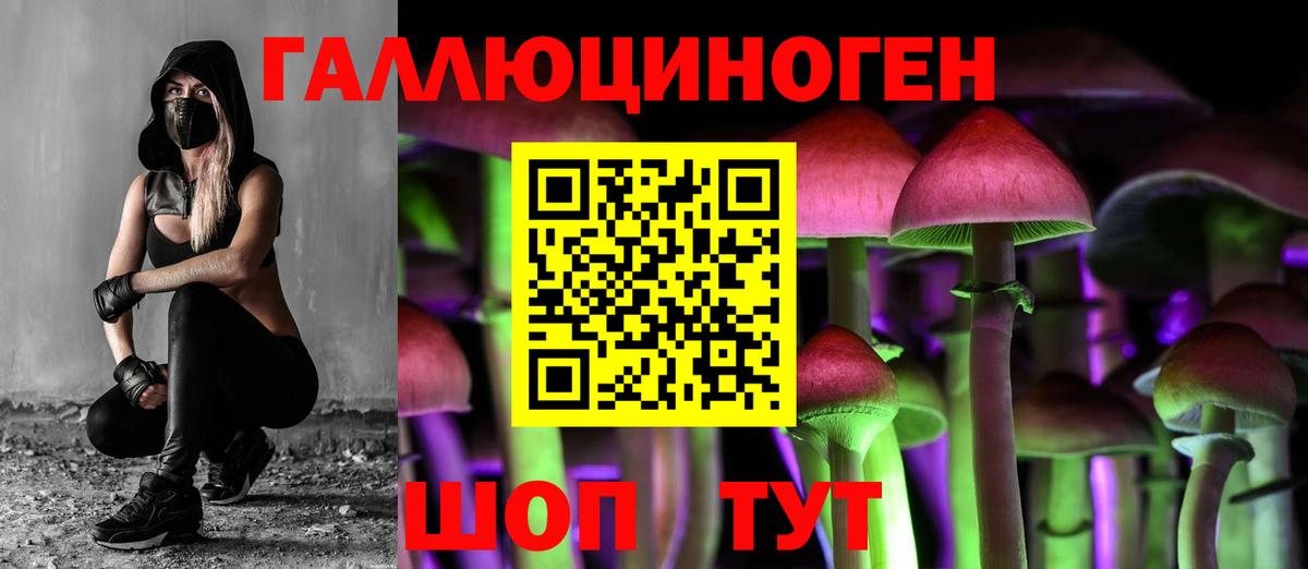 Вологда  цена наркотик  Вход с VPN  Псилоцибиновые грибы ЛСД 